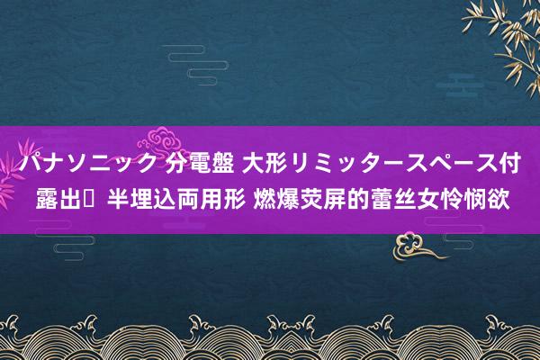 パナソニック 分電盤 大形リミッタースペース付 露出・半埋込両用形 燃爆荧屏的蕾丝女怜悯欲