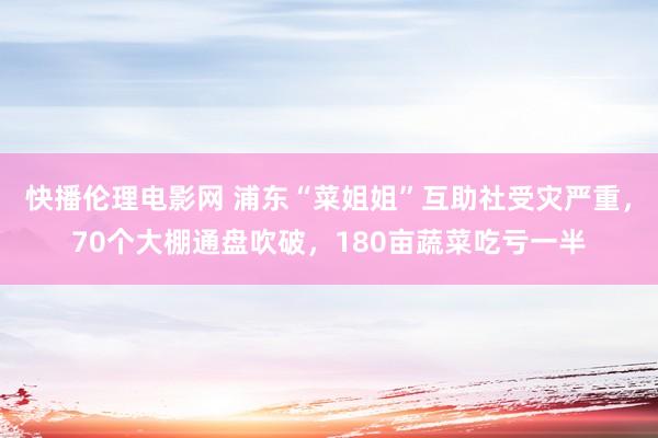 快播伦理电影网 浦东“菜姐姐”互助社受灾严重，70个大棚通盘吹破，180亩蔬菜吃亏一半