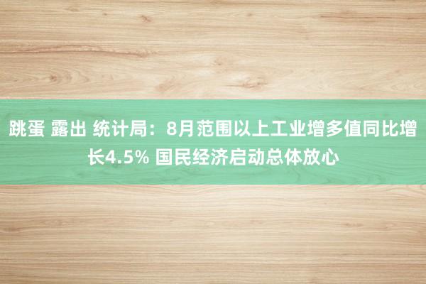 跳蛋 露出 统计局：8月范围以上工业增多值同比增长4.5% 国民经济启动总体放心