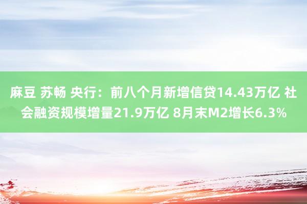 麻豆 苏畅 央行：前八个月新增信贷14.43万亿 社会融资规模增量21.9万亿 8月末M2增长6.3