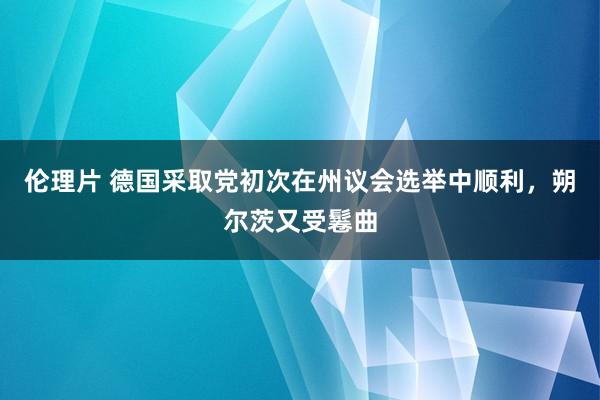 伦理片 德国采取党初次在州议会选举中顺利，朔尔茨又受鬈曲