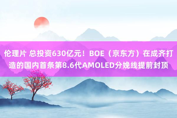 伦理片 总投资630亿元！BOE（京东方）在成齐打造的国内首条第8.6代AMOLED分娩线提前封顶