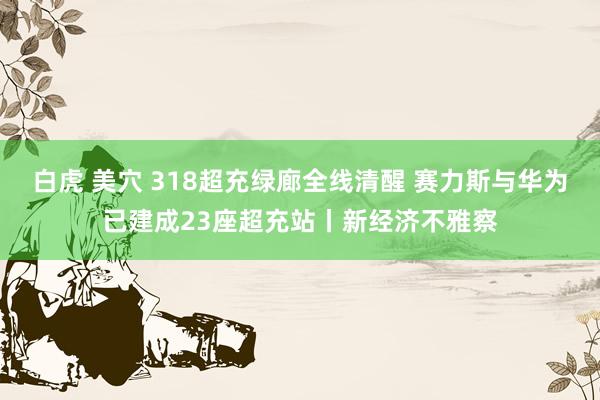 白虎 美穴 318超充绿廊全线清醒 赛力斯与华为已建成23座超充站丨新经济不雅察