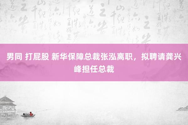 男同 打屁股 新华保障总裁张泓离职，拟聘请龚兴峰担任总裁