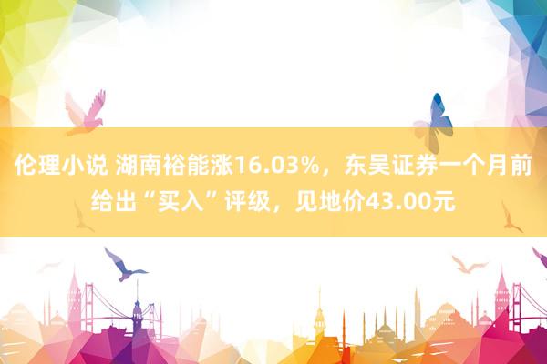 伦理小说 湖南裕能涨16.03%，东吴证券一个月前给出“买入”评级，见地价43.00元