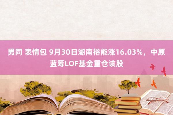 男同 表情包 9月30日湖南裕能涨16.03%，中原蓝筹LOF基金重仓该股