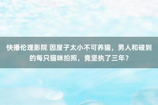 快播伦理影院 因屋子太小不可养猫，男人和碰到的每只猫咪拍照，竟坚执了三年？