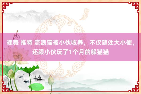 裸舞 推特 流浪猫被小伙收养，不仅随处大小便，还跟小伙玩了1个月的躲猫猫