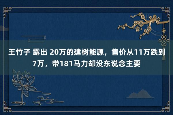 王竹子 露出 20万的建树能源，售价从11万跌到7万，带181马力却没东说念主要