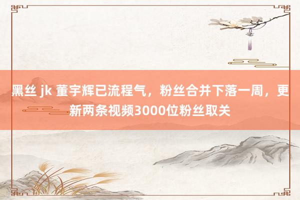 黑丝 jk 董宇辉已流程气，粉丝合并下落一周，更新两条视频3000位粉丝取关