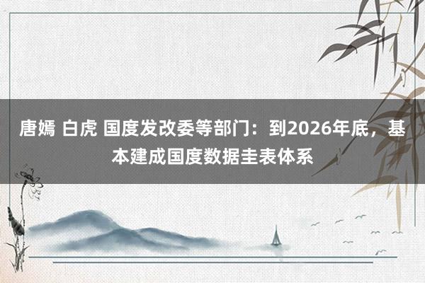 唐嫣 白虎 国度发改委等部门：到2026年底，基本建成国度数据圭表体系