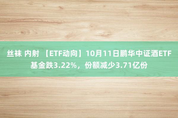 丝袜 内射 【ETF动向】10月11日鹏华中证酒ETF基金跌3.22%，份额减少3.71亿份