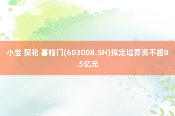 小宝 探花 喜临门(603008.SH)拟定增募资不超8.5亿元