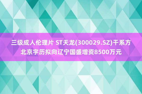 三级成人伦理片 ST天龙(300029.SZ)干系方北京宇历拟向辽宁国盛增资8500万元