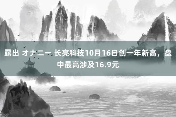 露出 オナニー 长亮科技10月16日创一年新高，盘中最高涉及16.9元