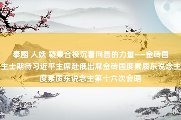 泰國 人妖 凝集合极沉着向善的力量——金砖国度各界东说念主士期待习近平主席赴俄出席金砖国度素质东说念主第十六次会晤