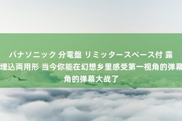 パナソニック 分電盤 リミッタースペース付 露出・半埋込両用形 当今你能在幻想乡里感受第一视角的弹幕大战了