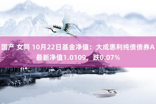 国产 女同 10月22日基金净值：大成惠利纯债债券A最新净值1.0109，跌0.07%