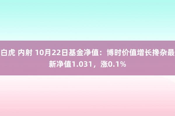 白虎 内射 10月22日基金净值：博时价值增长搀杂最新净值1.031，涨0.1%