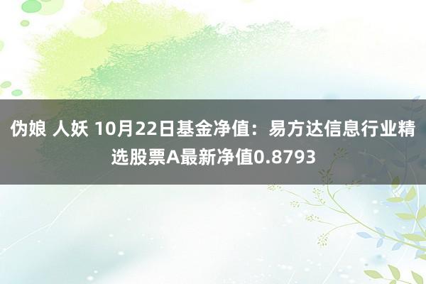 伪娘 人妖 10月22日基金净值：易方达信息行业精选股票A最新净值0.8793