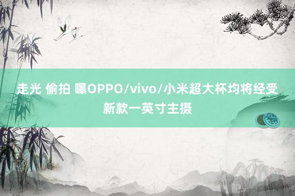 走光 偷拍 曝OPPO/vivo/小米超大杯均将经受新款一英寸主摄