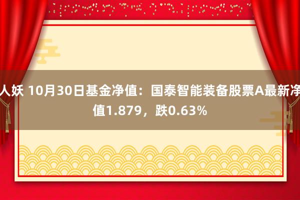 人妖 10月30日基金净值：国泰智能装备股票A最新净值1.879，跌0.63%