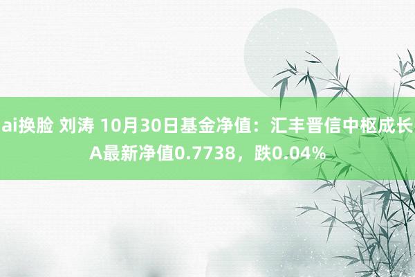 ai换脸 刘涛 10月30日基金净值：汇丰晋信中枢成长A最新净值0.7738，跌0.04%