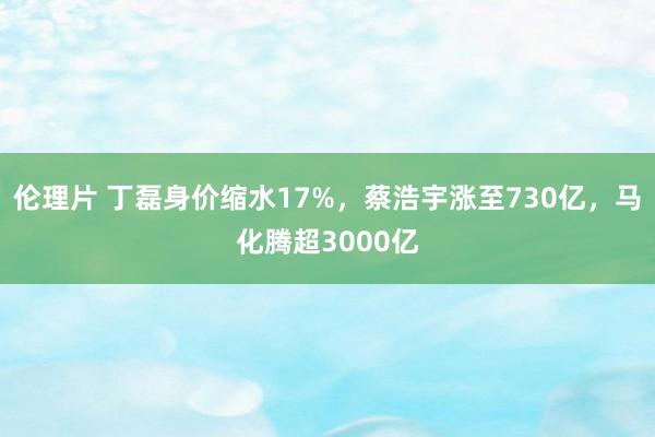 伦理片 丁磊身价缩水17%，蔡浩宇涨至730亿，马化腾超3000亿