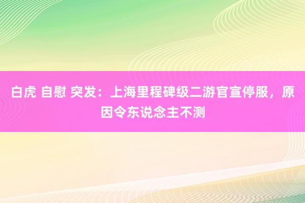 白虎 自慰 突发：上海里程碑级二游官宣停服，原因令东说念主不测