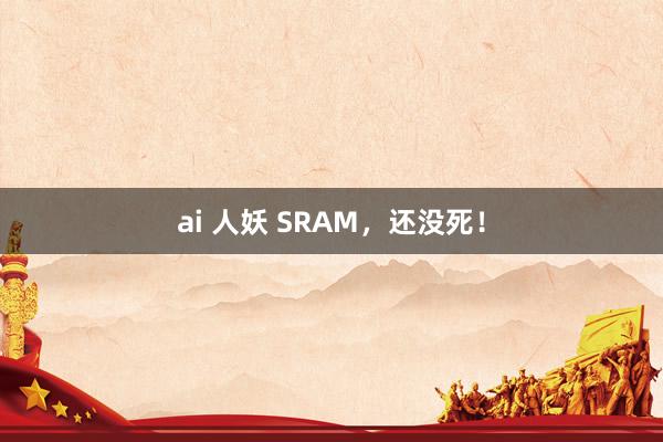 ai 人妖 SRAM，还没死！