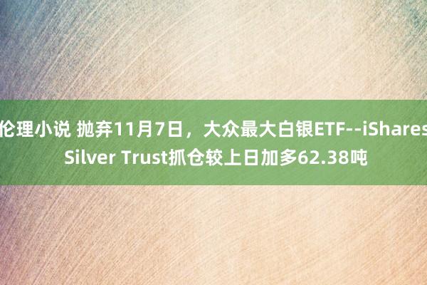 伦理小说 抛弃11月7日，大众最大白银ETF--iShares Silver Trust抓仓较上日加多62.38吨