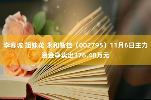 李春城 姐妹花 永和智控（002795）11月6日主力资金净卖出376.40万元