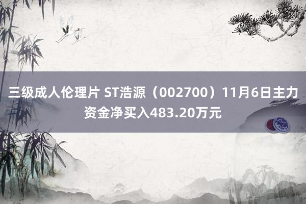 三级成人伦理片 ST浩源（002700）11月6日主力资金净买入483.20万元