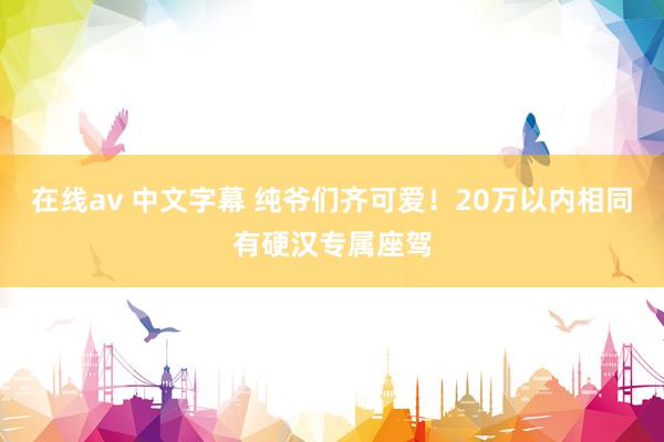 在线av 中文字幕 纯爷们齐可爱！20万以内相同有硬汉专属座驾