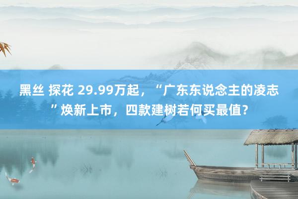 黑丝 探花 29.99万起，“广东东说念主的凌志”焕新上市，四款建树若何买最值？