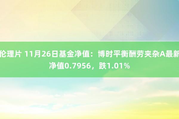 伦理片 11月26日基金净值：博时平衡酬劳夹杂A最新净值0.7956，跌1.01%