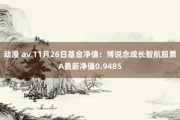 动漫 av 11月26日基金净值：博说念成长智航股票A最新净值0.9485