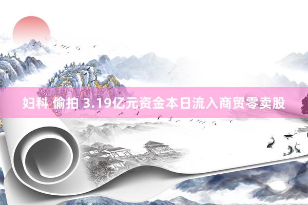 妇科 偷拍 3.19亿元资金本日流入商贸零卖股