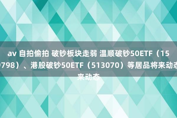 av 自拍偷拍 破钞板块走弱 温顺破钞50ETF（159798）、港股破钞50ETF（513070）等居品将来动态