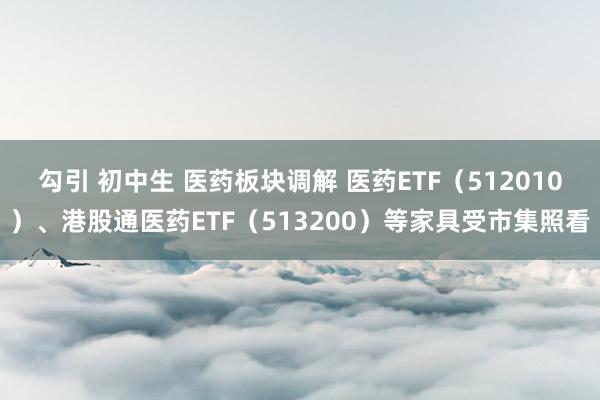 勾引 初中生 医药板块调解 医药ETF（512010）、港股通医药ETF（513200）等家具受市集照看