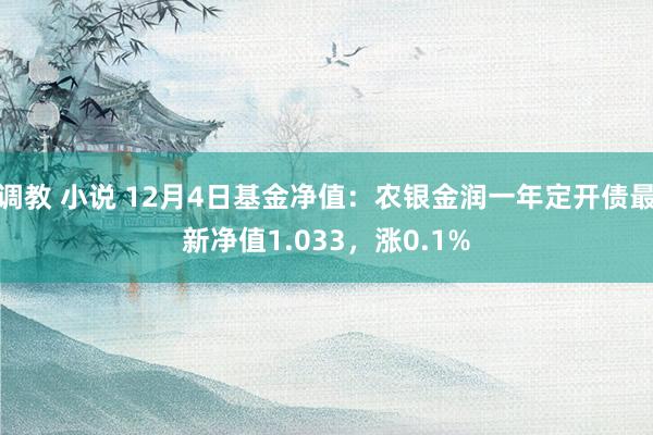 调教 小说 12月4日基金净值：农银金润一年定开债最新净值1.033，涨0.1%