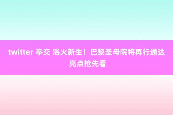 twitter 拳交 浴火新生！巴黎圣母院将再行通达 亮点抢先看