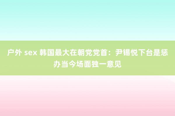 户外 sex 韩国最大在朝党党首：尹锡悦下台是惩办当今场面独一意见