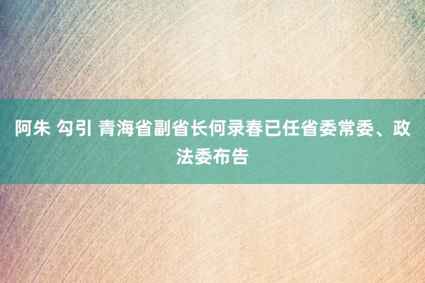 阿朱 勾引 青海省副省长何录春已任省委常委、政法委布告