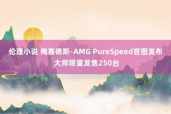 伦理小说 梅赛德斯-AMG PureSpeed官图发布 大师限量发售250台