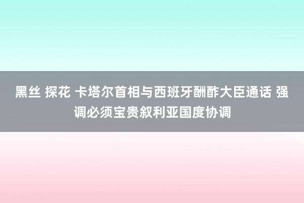 黑丝 探花 卡塔尔首相与西班牙酬酢大臣通话 强调必须宝贵叙利亚国度协调