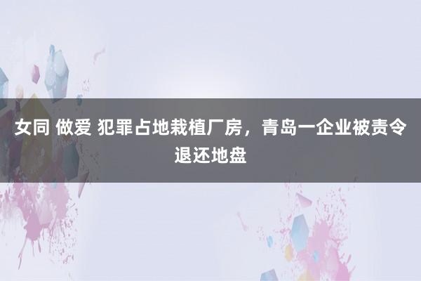 女同 做爱 犯罪占地栽植厂房，青岛一企业被责令退还地盘