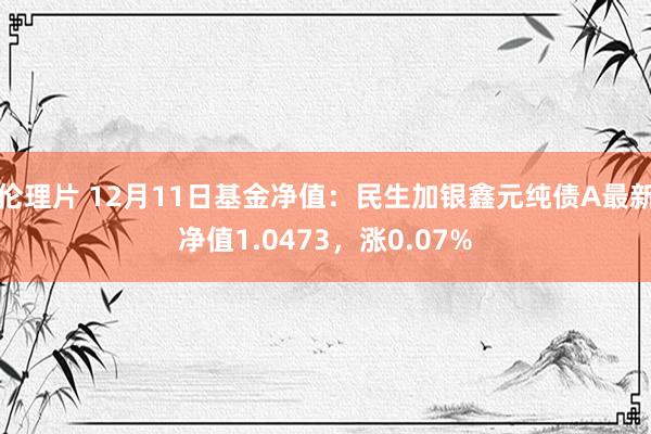 伦理片 12月11日基金净值：民生加银鑫元纯债A最新净值1.0473，涨0.07%