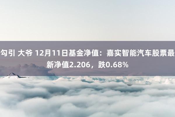 勾引 大爷 12月11日基金净值：嘉实智能汽车股票最新净值2.206，跌0.68%