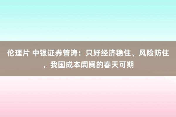 伦理片 中银证券管涛：只好经济稳住、风险防住，我国成本阛阓的春天可期